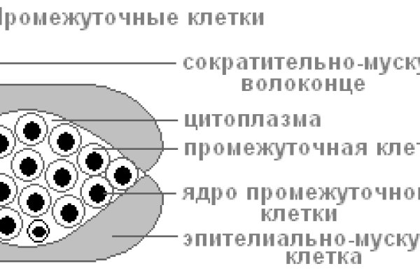 Как найти кракен в торе